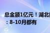 总金额1亿元！湖北拟发放3C数码产品消费券：8-10月都有