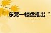 东莞一楼盘推出“买一套赠一套”活动