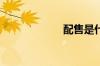 配售是什么意思呢