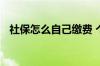 社保怎么自己缴费 个人社保欠费了怎么办