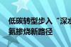 低碳转型步入“深水区” 新动力发力探索氢氨掺烧新路径